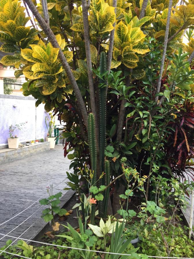 Casa Aconchegante Em Vila Valqueire Rio de Janeiro Exterior photo